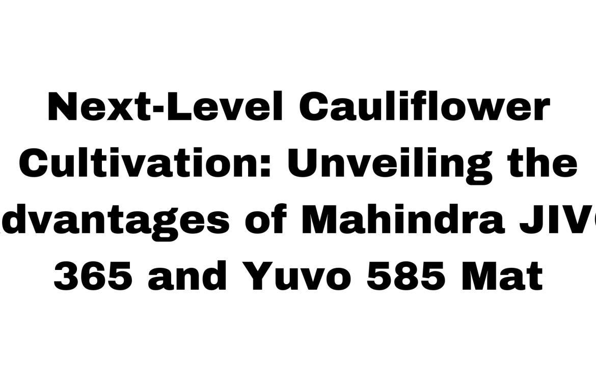 Next-Level Cauliflower Cultivation: Unveiling the Advantages of Mahindra JIVO 365 and Yuvo 585 Mat