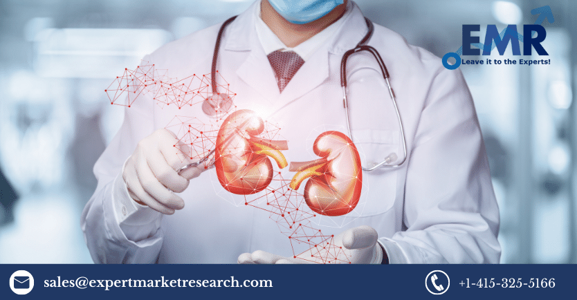 Global Acute Kidney Injury Treatment Market Size, Growth, Price, Outlook, Report and Forecast Period Of 2023-2028