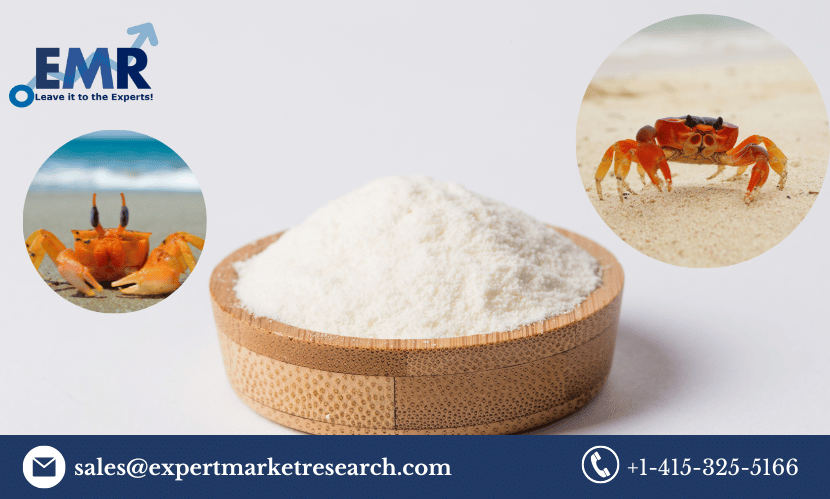 Global Chitosan Market Share, Trends, Growth, Outlook, Report and Forecast Period Of 2023-2028