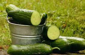 The Cucumber’s Refreshing Results on Males Resulting from Its Cooling Properties