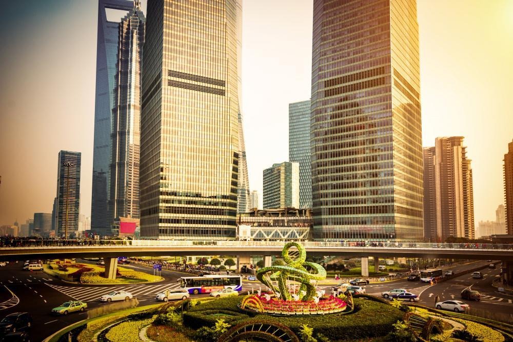 From Property Selection to Ownership: The Role of Professional Real Estate Services