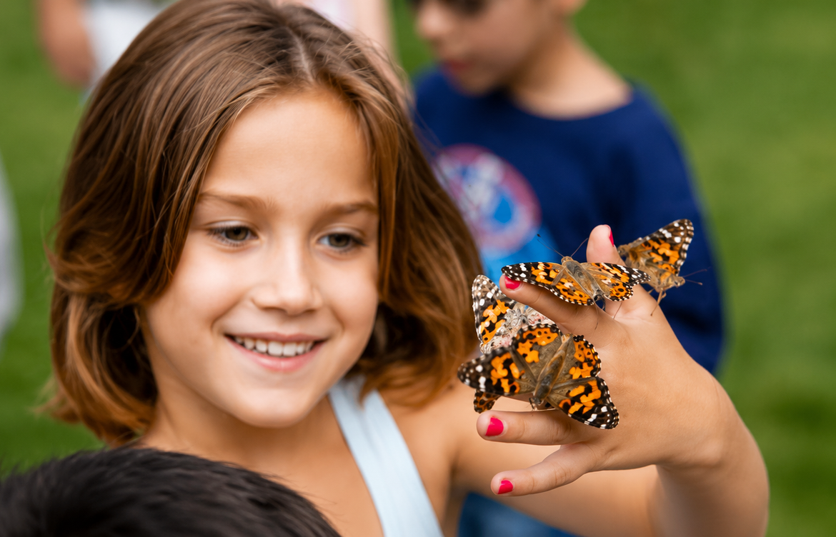 Releasing Butterflies at Wedding Ceremonies: Planning a Meaningful Moment